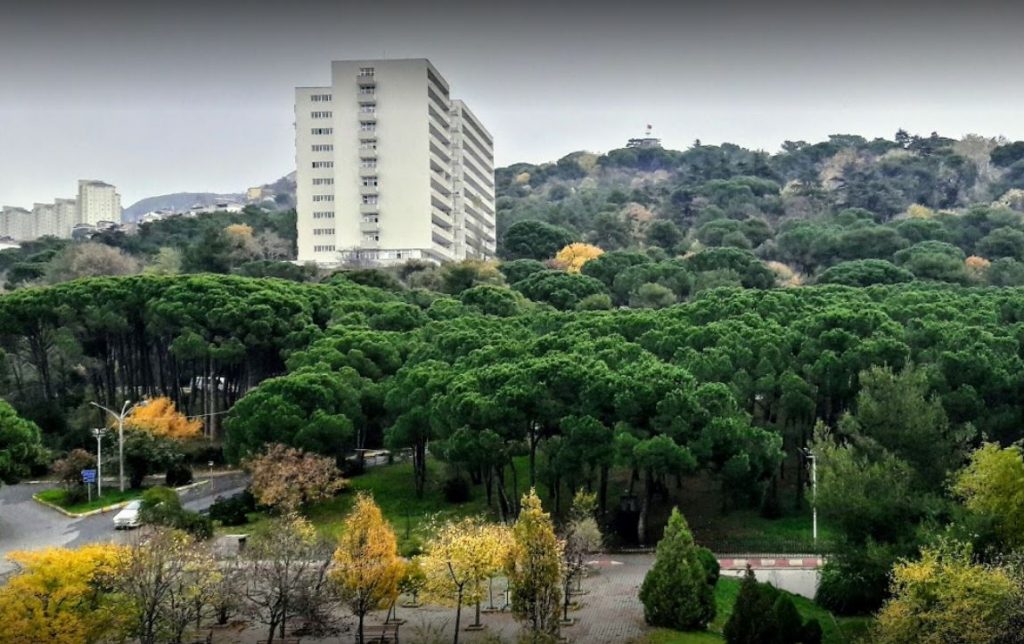 Süreyyapaşa Göğüs Hastalıkları Ve Göğüs Cerrahisi Eğitim Ve Araştırma Hastanesi 1 Süreyyapaşa Göğüs Hastalıkları Ve Göğüs Cerrahisi Eğitim Ve Araştırma Hastanesi 1
