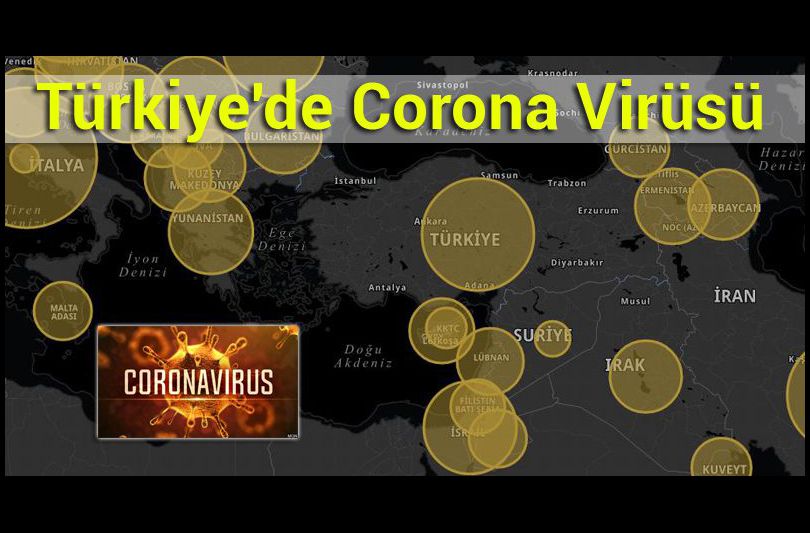 Türkiye'de Corona Virüsü - Yeni Koronavirüs Hastalığı (COVID-19) 2
