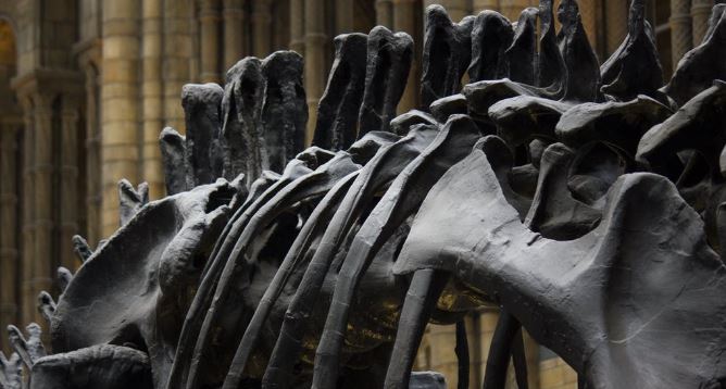 Kemik Erimesi Nedir?