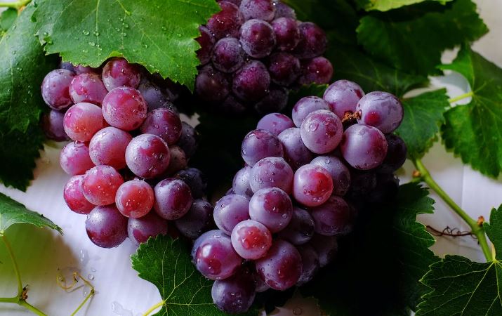 Üzümün Sağlığa Faydaları Nelerdir? 2 Üzümün Sağlığa Faydaları Nelerdir?