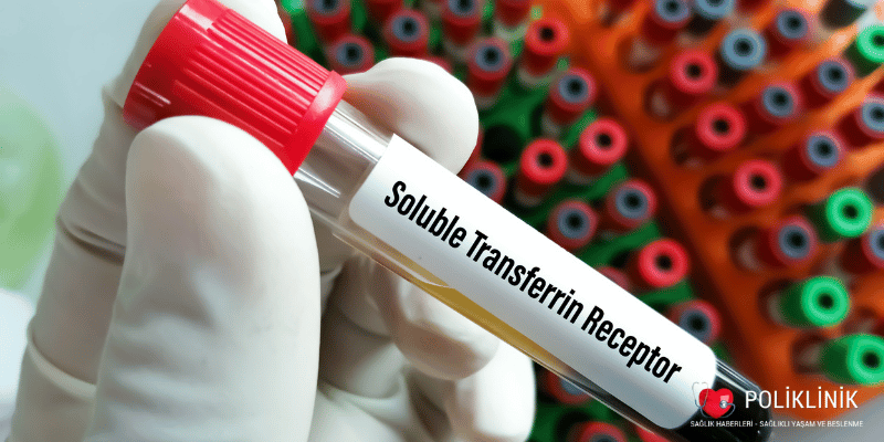 Demir Eksikliği Nedir, Belirtileri ve Tedavi Yöntemleri