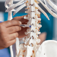 Osteoporoz Nedir? : Sessiz Hastalık 1