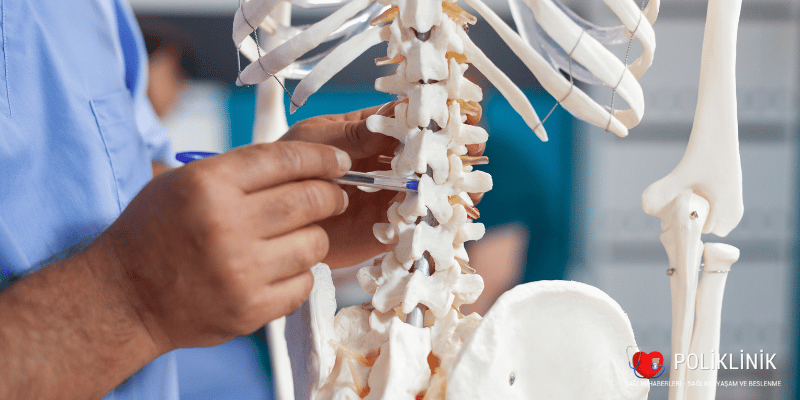 Osteoporoz Nedir? : Sessiz Hastalık 2
