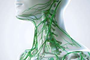 Bağışıklık Sistemi Nasıl Güçlendirilir