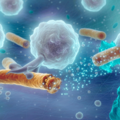 Bağışıklık Sistemi Nasıl Doğal Yollarla Güçlendirilir