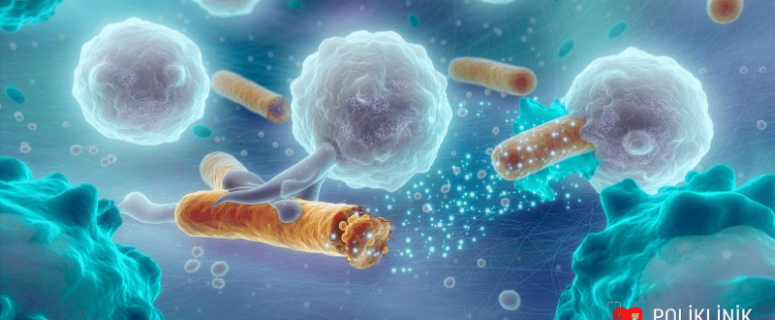 Bağışıklık Sistemi Nasıl Doğal Yollarla Güçlendirilir