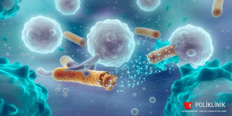 Bağışıklık Sistemi Nasıl Doğal Yollarla Güçlendirilir